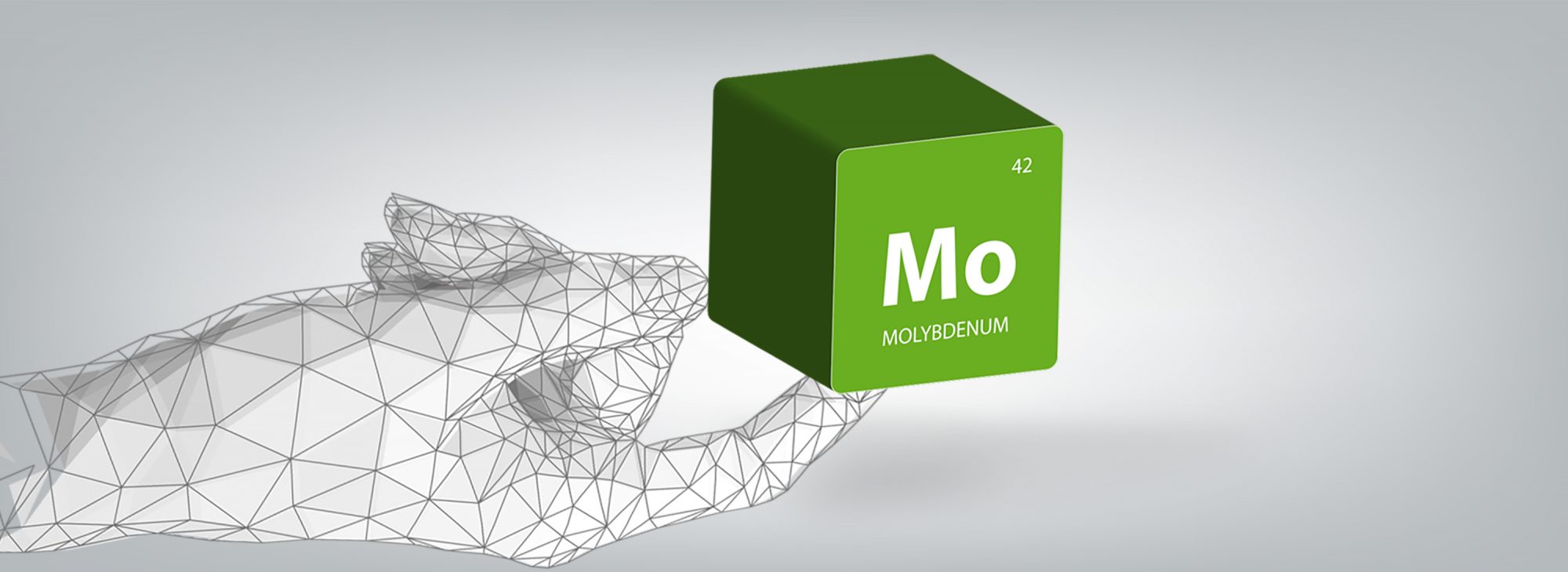 Molybdenum